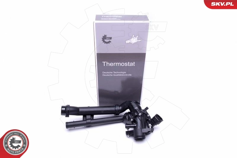 Thermostat, coolant